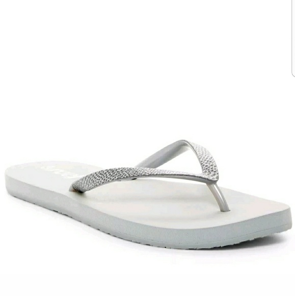 reef stargazer sassy